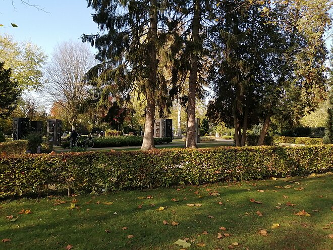 Foto: Ostfriedhof mit einer kleinen Hecke und einem Baum