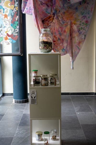Foto: Regal mit kleinen Ausstellungsstücken