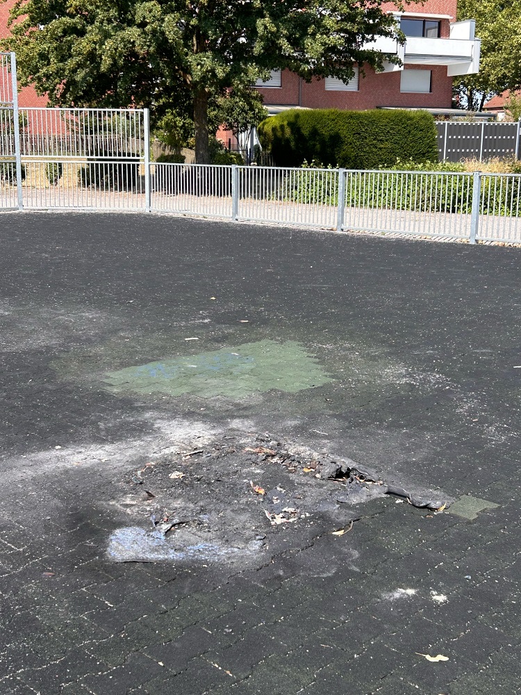 Foto: Blick auf die zerstörte Fläche