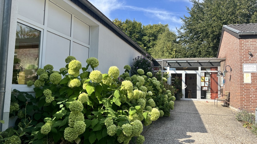 Foto: Eingangsbereich der Kita-Jona mit Hortensien