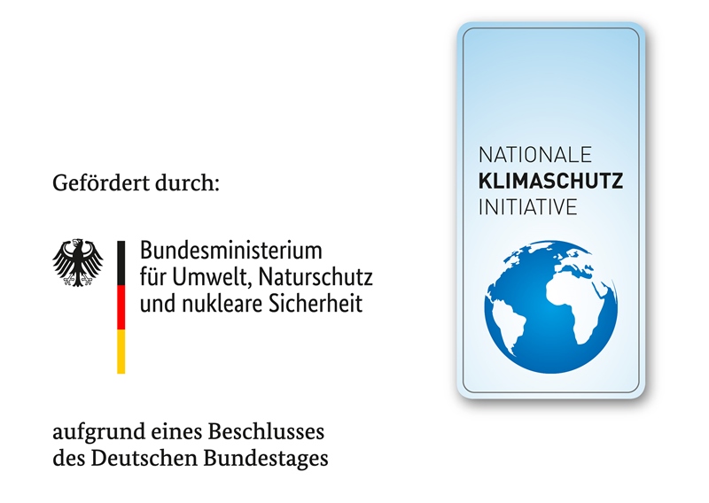 Logo: Gefördert durch: Bundesministerium für Umwelt, Naturschutz und nukleare Sicherheit