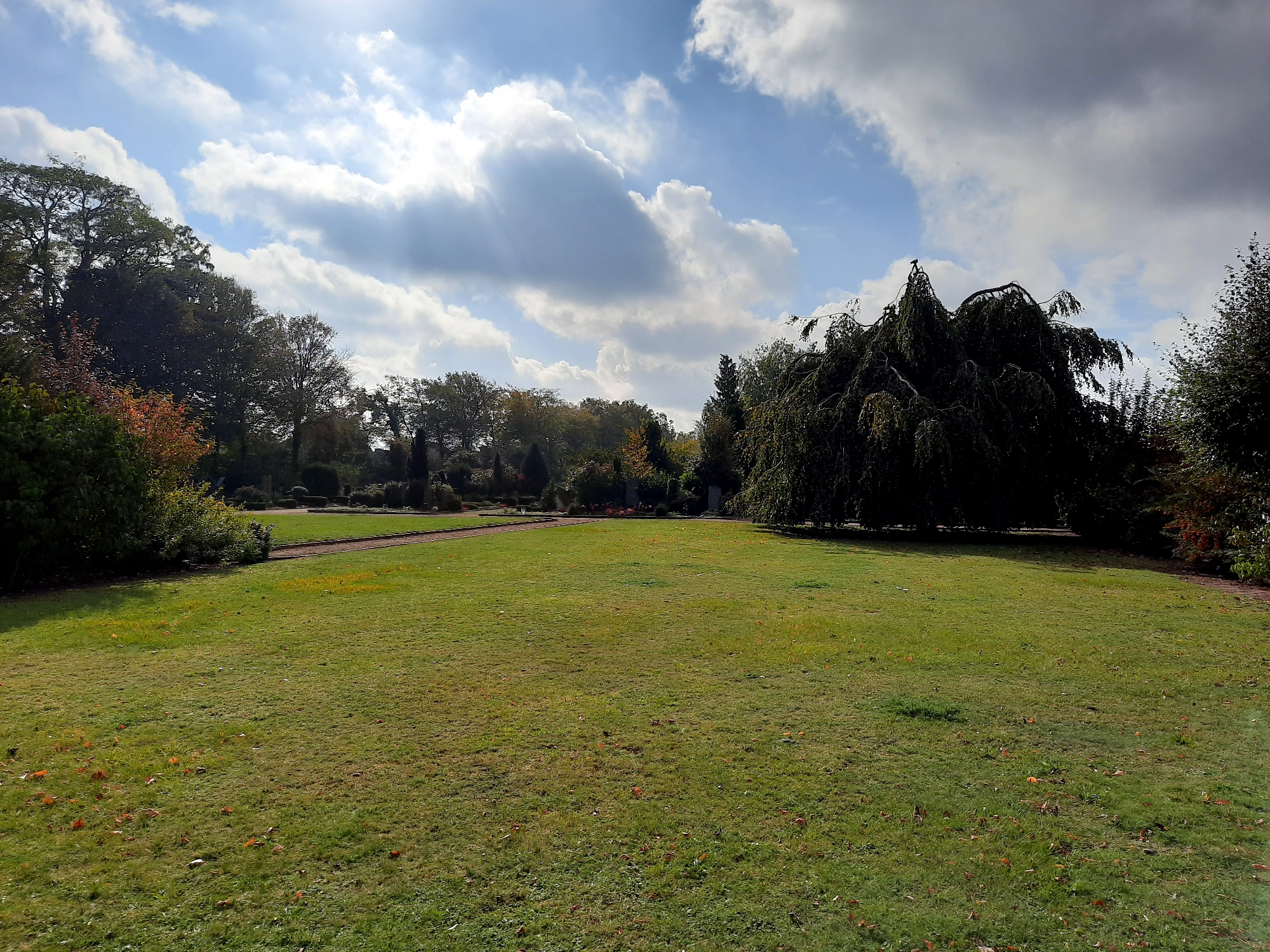 Foto: Wiese auf dem Friedhof in Vorhelm