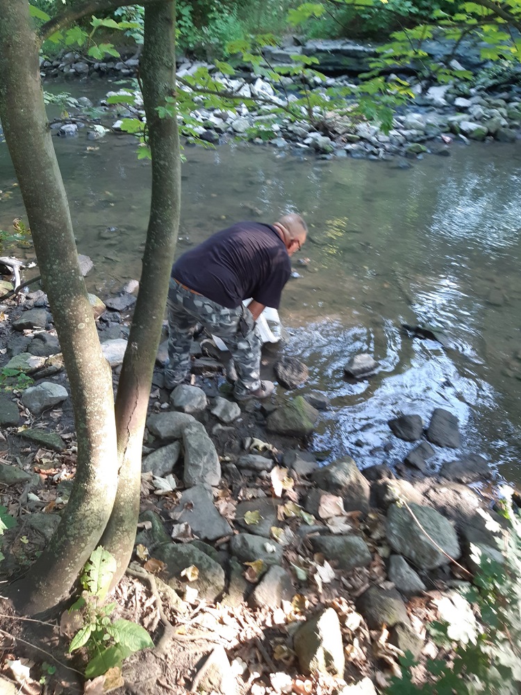 Peter Lehmann vom Ahlener Angelverein beim Umsetzen der Fische in die Werse.