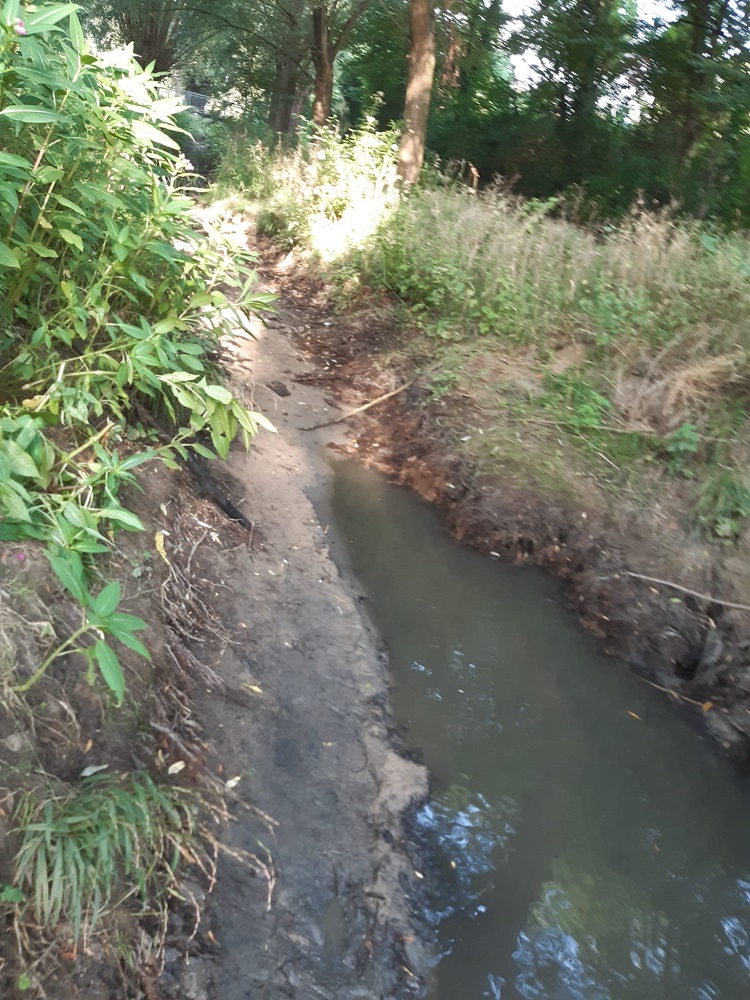 Die Olfe führt aktuell nur wenig Wasser.