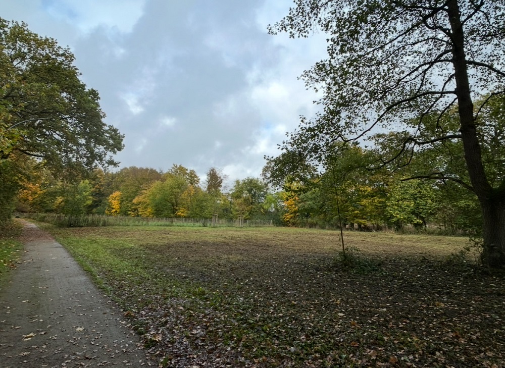 Dort, wo einst das Tiergehege in der Langst stand, entsteht Ahlens dritter Bürgerwald.