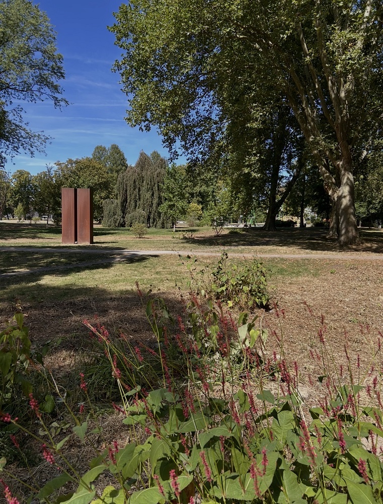 Zurückgeschnitten und gemulcht sind die Staudenbeete im Stadtpark. Die anhaltende Trockenheit stellt auch das Stadtgrün vor Probleme, so dass es im Hochsommer braun ist, wo es eigentlich grünen sollte.