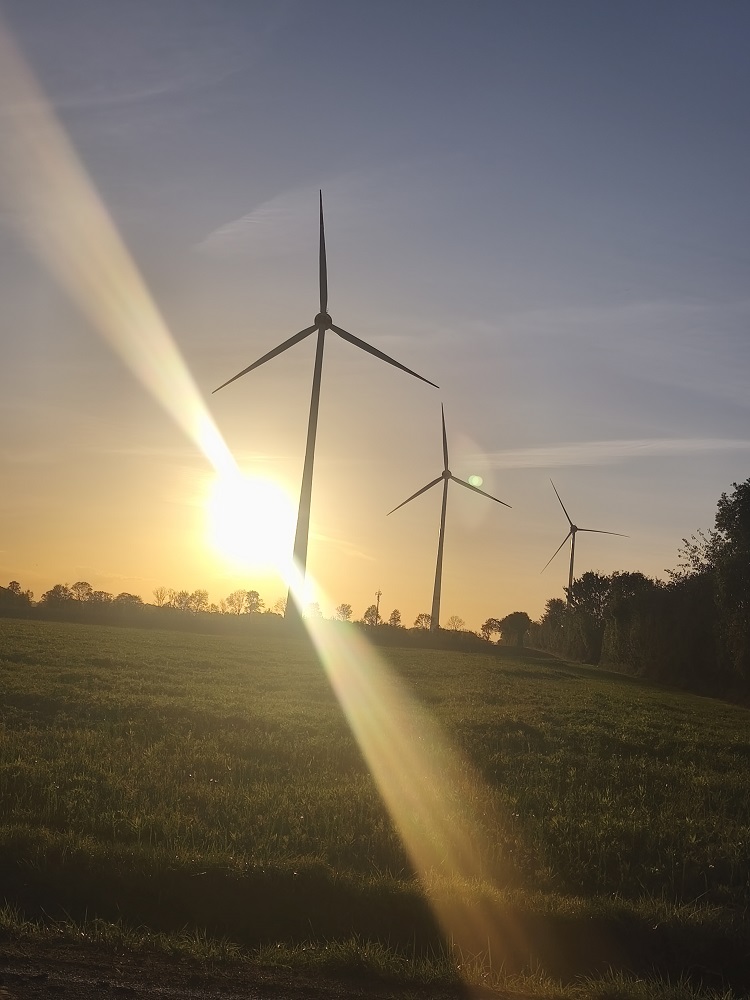 Erlöse aus Windkraftanlagen zwischen Ahlen und Drensteinfurt kommen Ahlener Organisationen zugute.