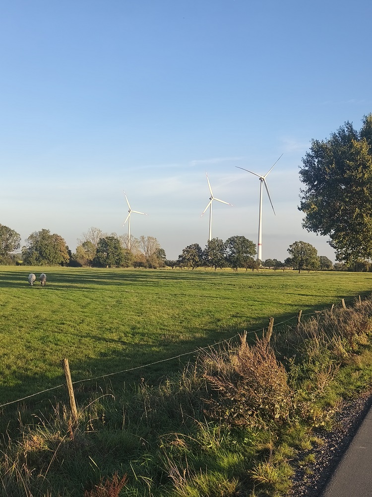 Erlöse aus Windkraftanlagen zwischen Ahlen und Drensteinfurt kommen Ahlener Organisationen zugute.