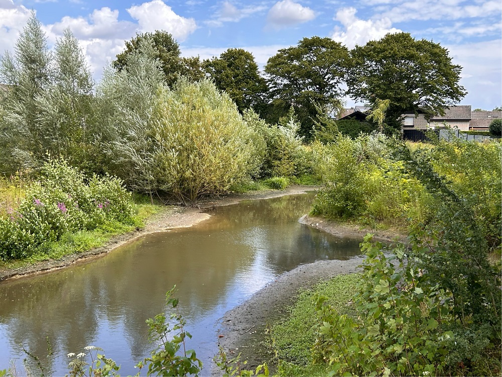 Foto: Blick auf die Werse mit niedrigem Wasserpegel