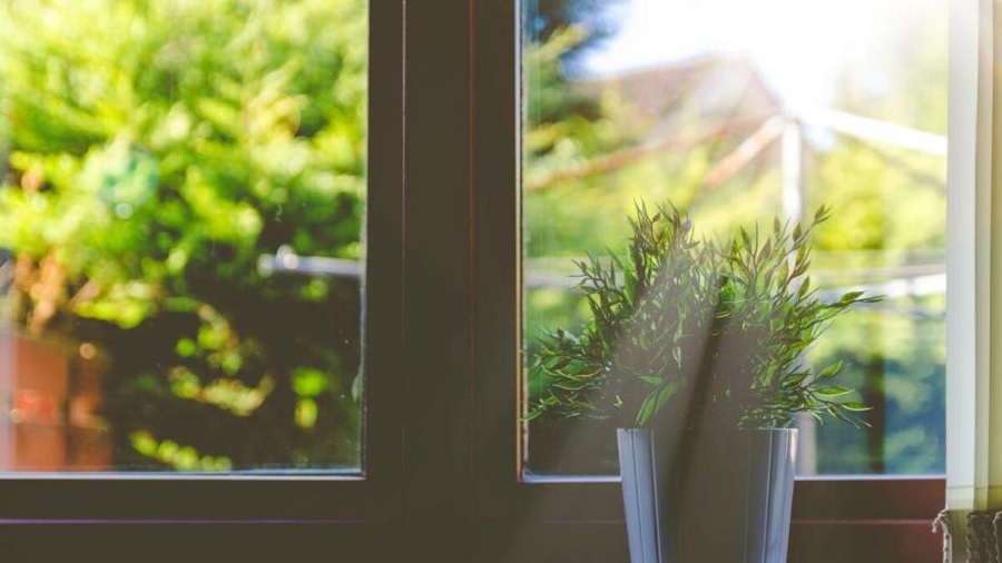 Foto: Blick aus einem Fenster in den Garten
