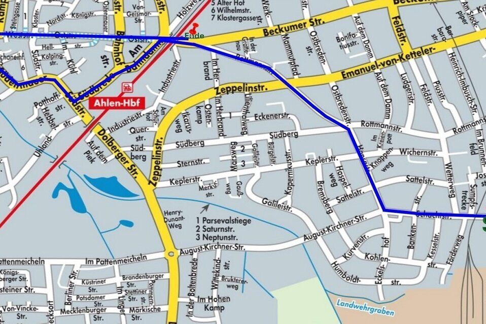 Karnevalsumzug am Rosenmontag