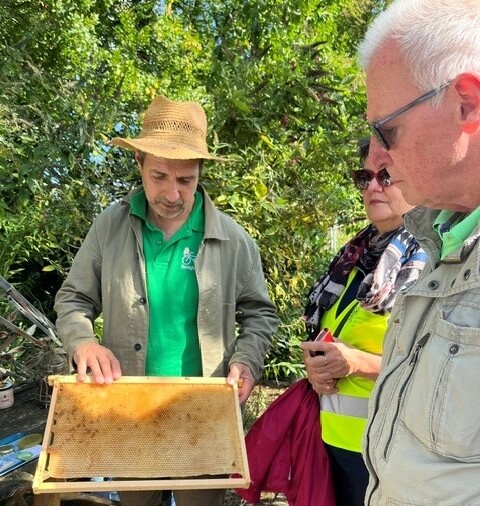 Foto: Jörg Eberschneider mit einer Bienenwabe