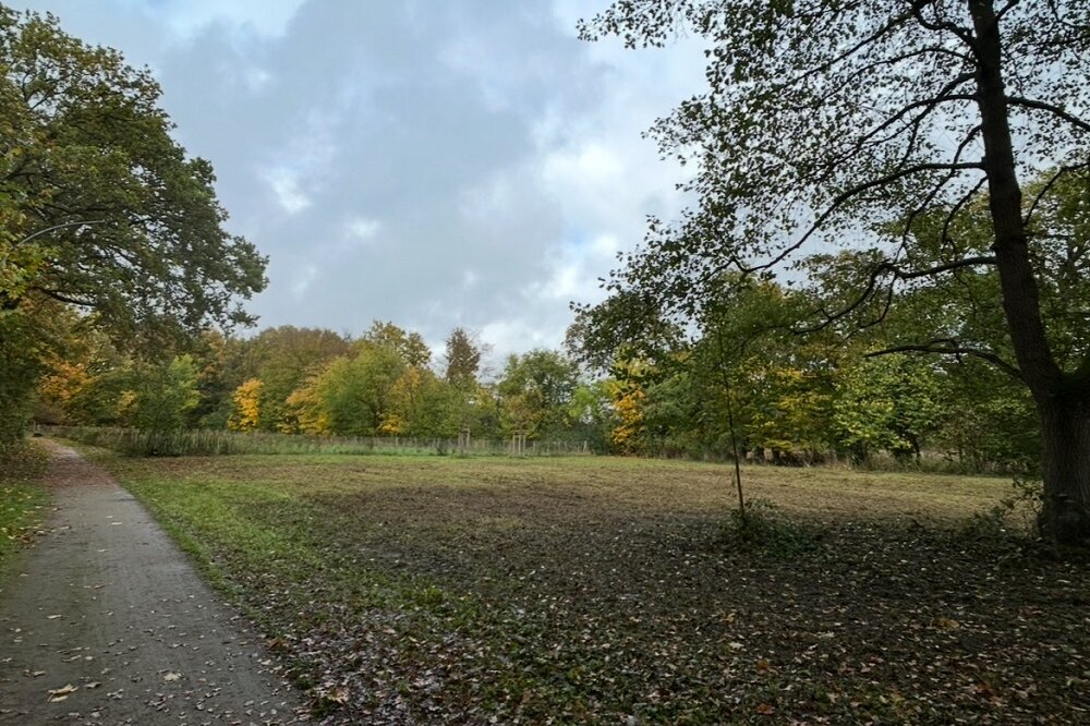 Baumgeschenk für den Langstwald
