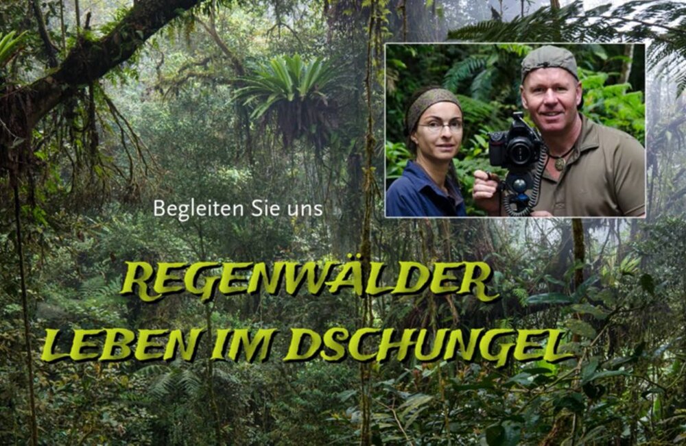Foto: Multivision "Regenwälder"