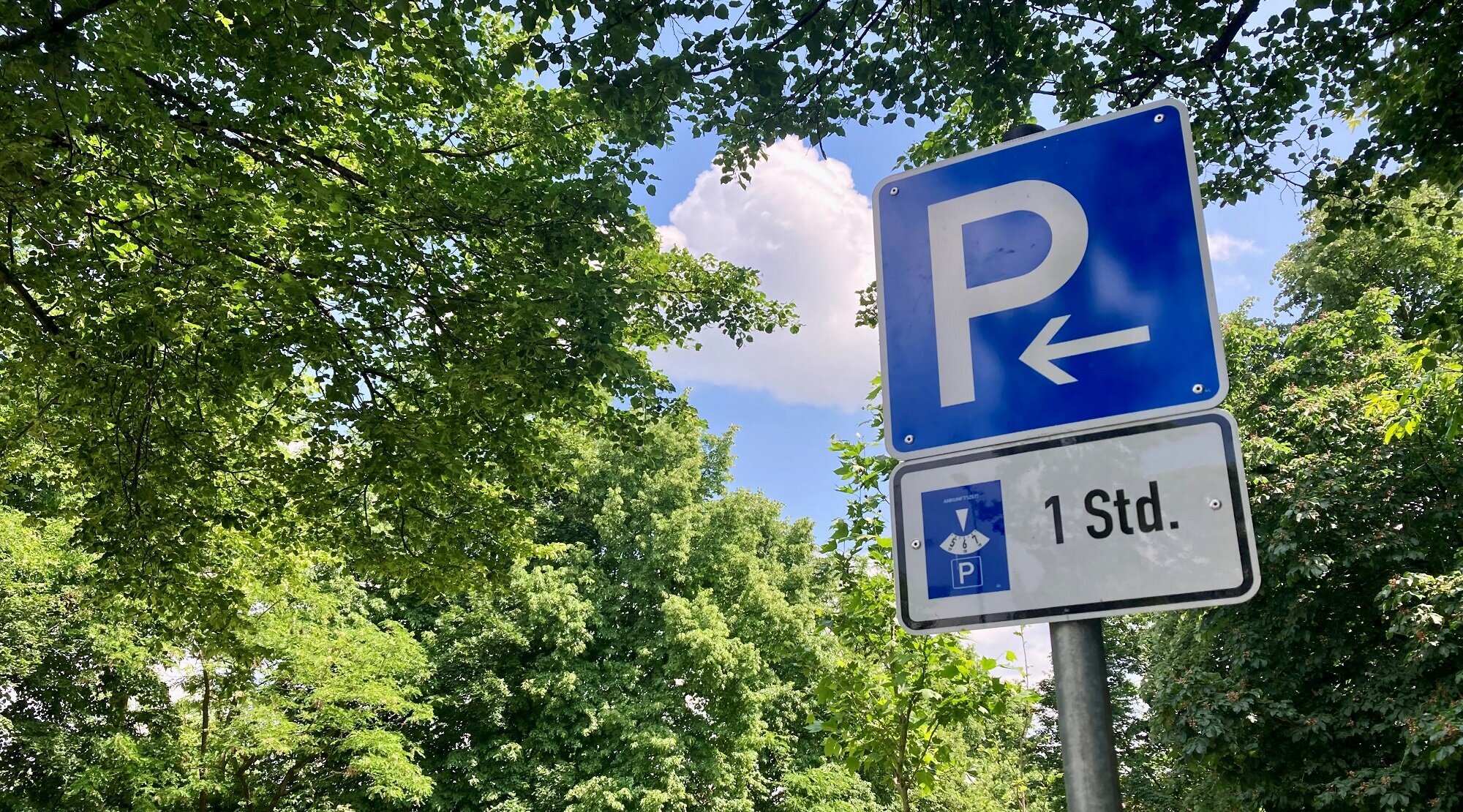 Foto: Parkschild mit einer Parkscheibe vor Bäumen