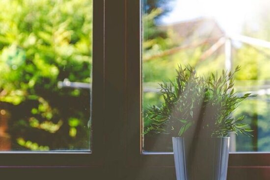 Foto: Blick aus einem Fenster in den Garten