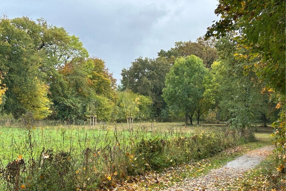 Zuwachs für den Langstwald