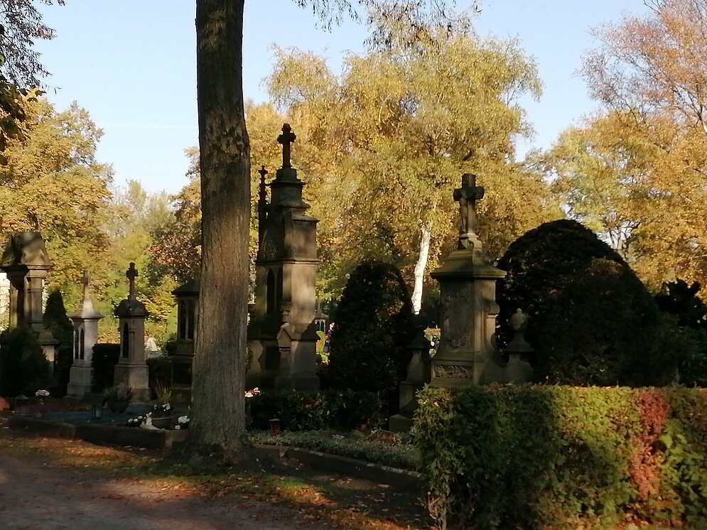 Foto: Westfriedhof Gräber