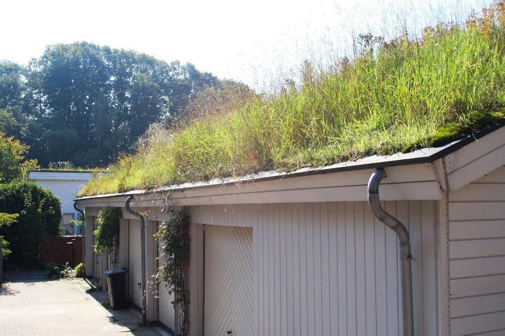 Klimarobust mit Gründach – Zukunftsinitiative „Klima.Werk“ fördert den blau-grünen Umbau 