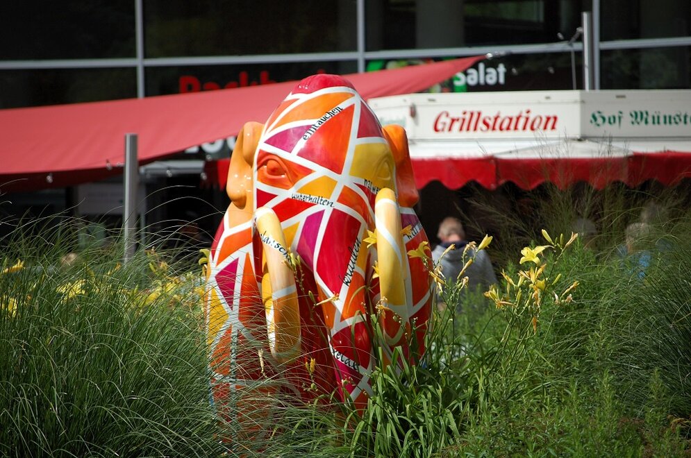 Foto: Sport- und Bewegungstag