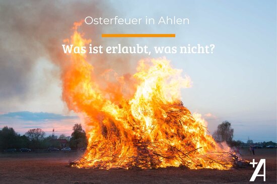 Feuer auf Feld, ein paar Autos und Menschen stehen drum herum, hohe Flammen