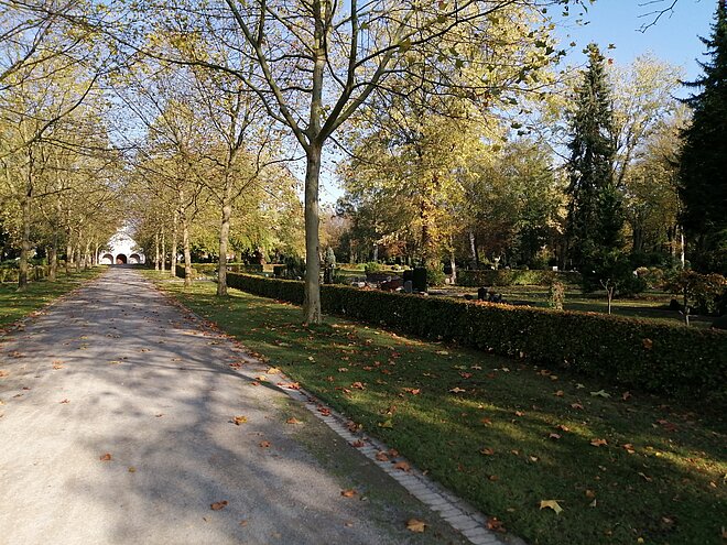 Foto: Weg auf dem Ostfriedhof