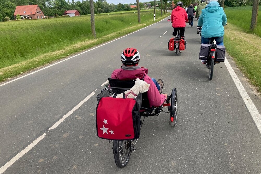 Jetzt beeilen: Noch bis Freitag können Kilometer vom Stadtradeln eingetragen werden