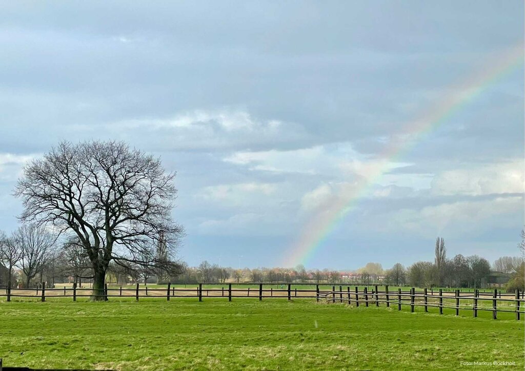 Weide mit Baum und Regenbogen