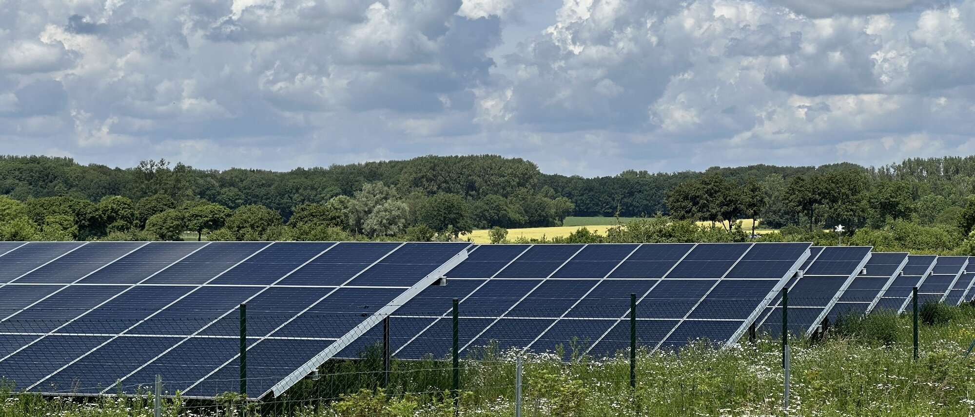 Foto: Photovoltaikanlage im Grünen