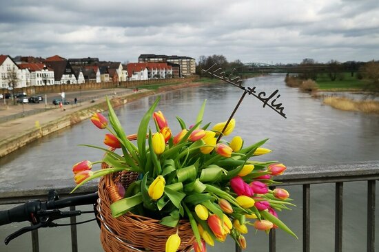 Foto: Blick von einer Brücke auf die Weser mit Blumen am Geländer